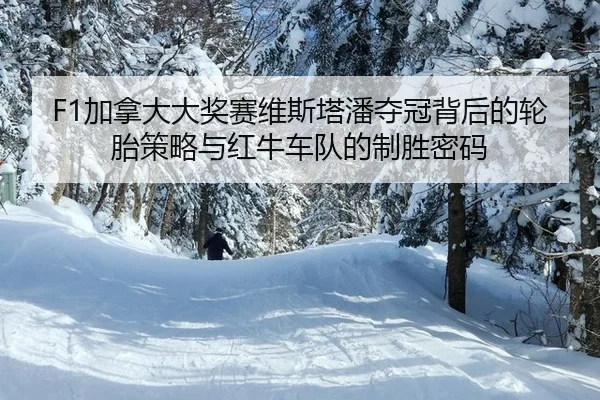 jia-na-da-da-jiang-sai-wei-si-ta-pan-duo-guan-bei-hou-de-lun-tai-ce-lve-yu-hong-niu-che-dui-de-zhi-sheng-mi-ma-3-862.jpg